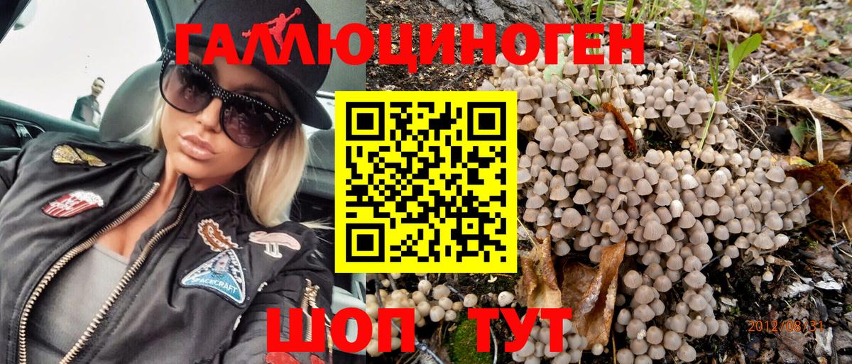 Галлюциногенные грибы Psilocybe  Вход с VPN  Красноармейск 